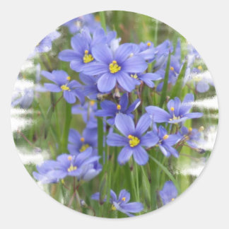 Adesivo Larkspurs
