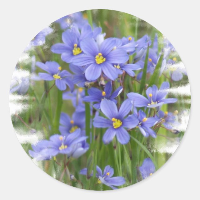 Adesivo Larkspurs (Frente)
