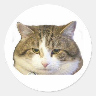 Adesivo Larry a cara do gato do Downing Street