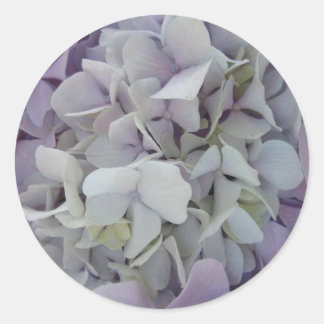 Adesivo Lavanda/Adesivo branco de Hydrangea
