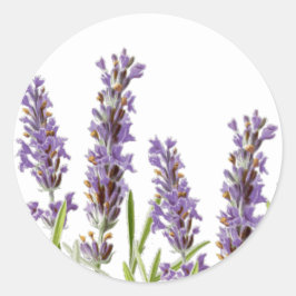 Adesivo Lavanda Envelope Selo