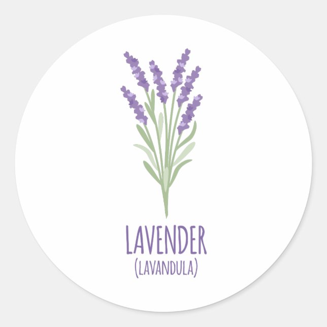 Adesivo Lavanda Lavandula (Frente)