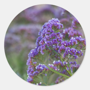 Adesivo Lavanda pelo oceano