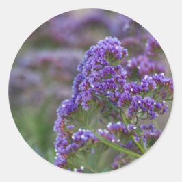 Adesivo Lavanda pelo oceano