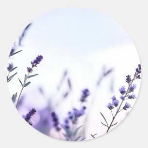 Adesivo Lavanda Romântica Aquarela
