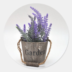 Adesivo lavander