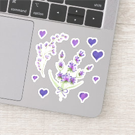 Adesivo Lave delicada Mínima da Proveniência de Aquarela C