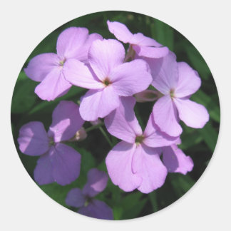 Adesivo Lavendar Wildflower Sticker