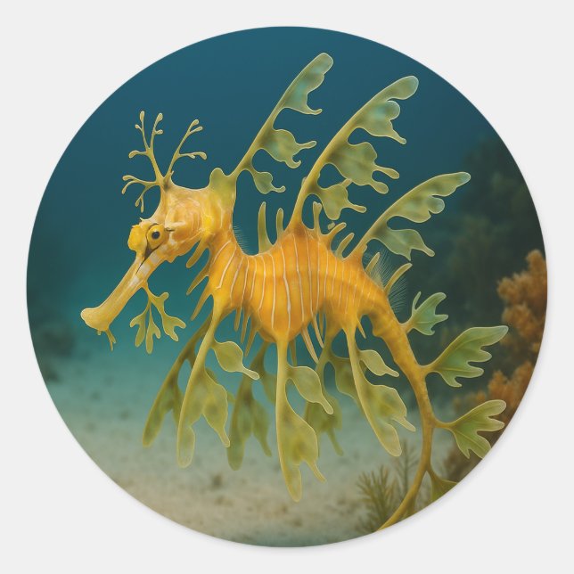 Adesivo Leafy Sea Dragon (Frente)