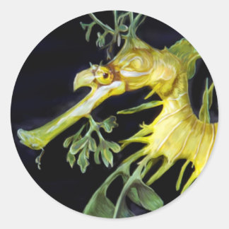 Adesivo Leafy Sea Dragon