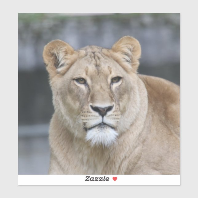 Adesivo Leão 004 (Folha)