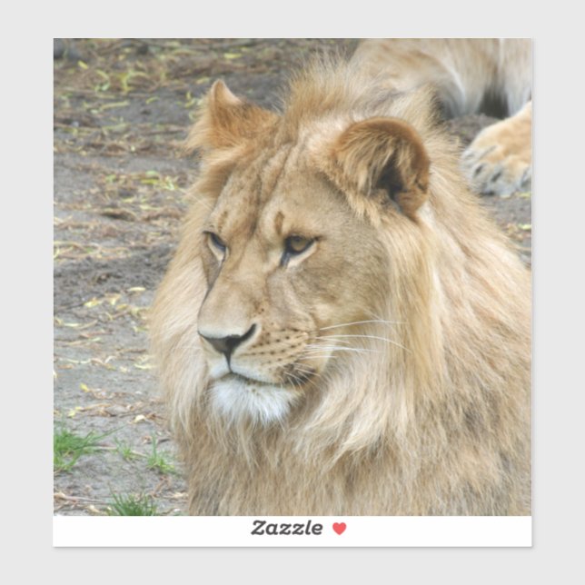 Adesivo Leão 011 (Folha)