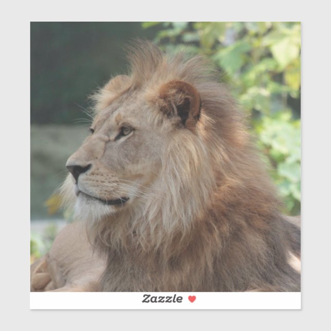 Adesivo Leão 035 (Folha)