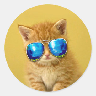 Adesivo Legal Kitten com óculos escuros
