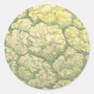 Adesivo Legumes Vegetais Couve-Flor Comida Antiga