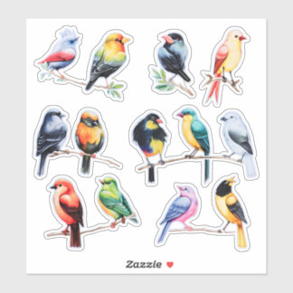 Adesivo Leitura de Pássaros de Aquarela