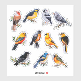 Adesivo Leitura de Pássaros de Aquarela