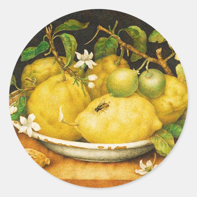 ADESIVO LEMÕES FRUTAS DA SEASON E FLORES BRANCOS (Frente)