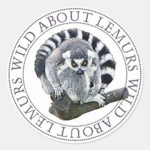 Adesivo Lemur