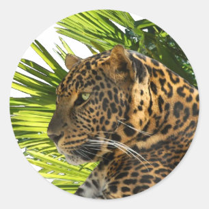ADESIVO LEOPARD E PALMS