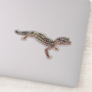Adesivo Leopard Gecko