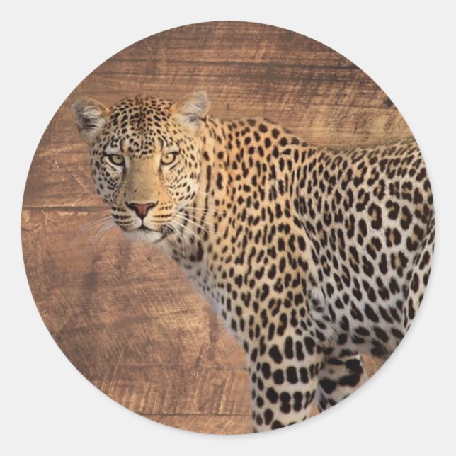 Adesivo Leopardo (Frente)