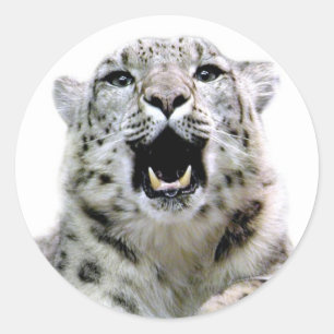 Adesivo Leopardo de neve