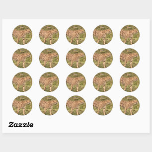 Adesivo Leopardo-Stickers