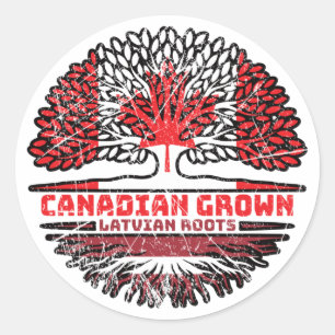Adesivo Letão canadiano canadiano Bandeira de Raízes de Ár