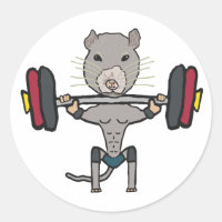 Levantamento de Peso de Rato de Gym