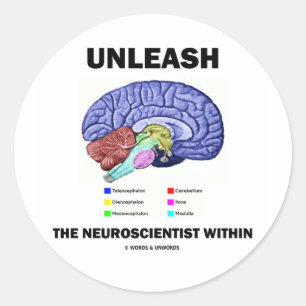 Adesivo Libertar O Neurocientista Dentro (Anatomia Cerebra