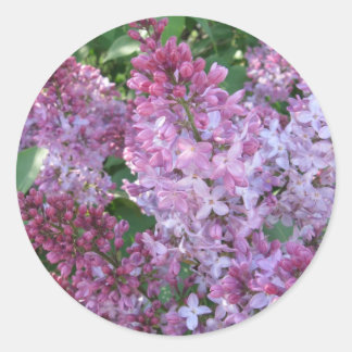 Adesivo Lilac Sticker