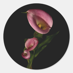 Adesivo Lilly Sticker