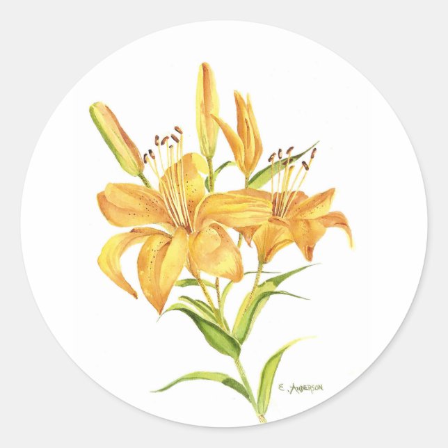 Adesivo Lilocolor de tigre amarelo (Frente)