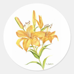 Adesivo Lilocolor de tigre amarelo