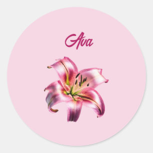 Adesivo Lily Asiática Rosa-Rosa Iridescente