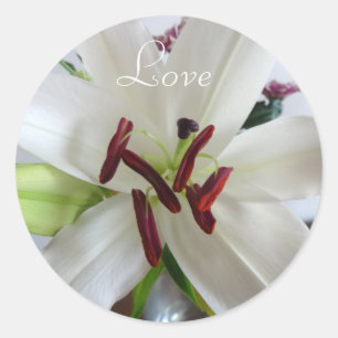 Adesivo Lily Branca, flor.