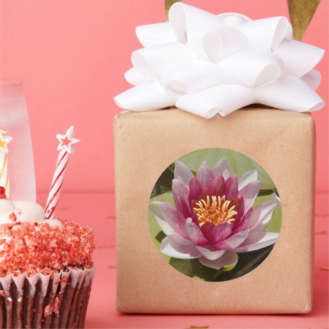 Adesivo Lily de Água Rosa (Festa)