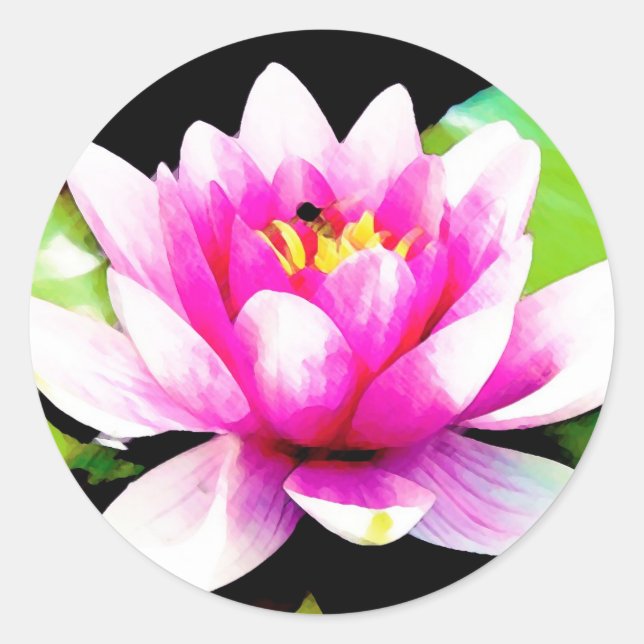 Adesivo Lily de água rosa (Frente)