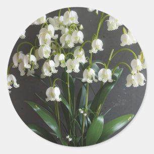 Adesivo Lily do vale