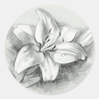 Adesivo Lily Drawing Round Sticker