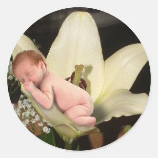 Adesivo Lily Flower Baby Round Sticker