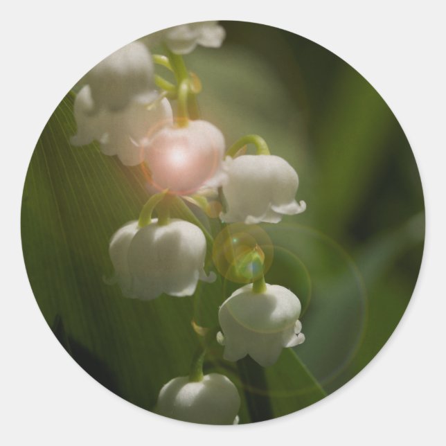 Adesivo Lily Of the Valley Floral (Frente)