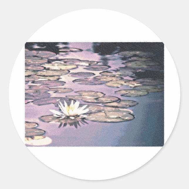 Adesivo Lily Pads Desenho (Frente)