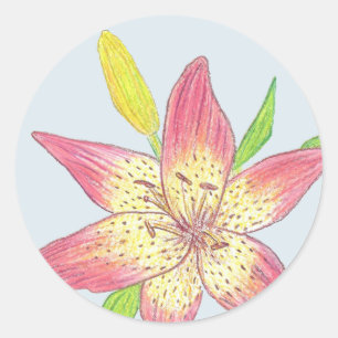 Adesivo Lily Sticker