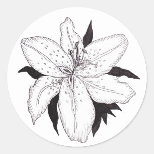 Adesivo Lily Sticker