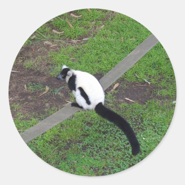 Adesivo Limão preto-e-branco, ralado, 3 palitos (Frente)