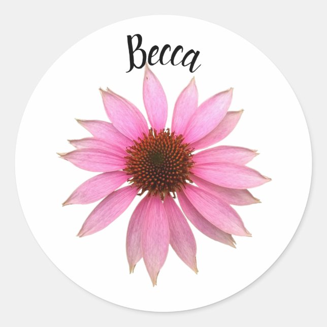 Adesivo Limpador Puro Brilhante Personalizado (Frente)