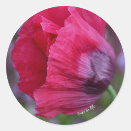 Adesivo Linda Flor de Papoula Rosa e Roxa
