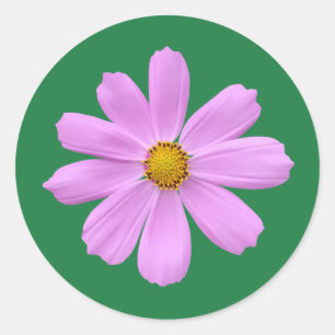 Adesivo Linda flor rosa